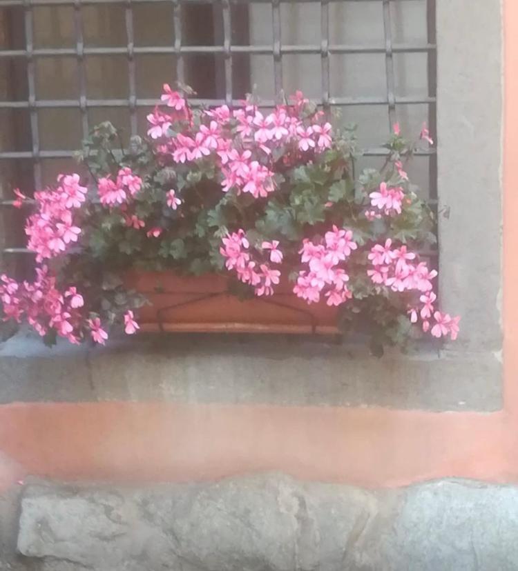 Casa Mirella Daire Lovere Dış mekan fotoğraf